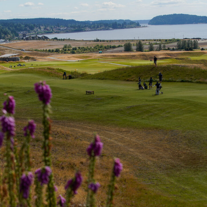 Chambers Bay, University Place