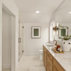 Initial primary bathroom suite.